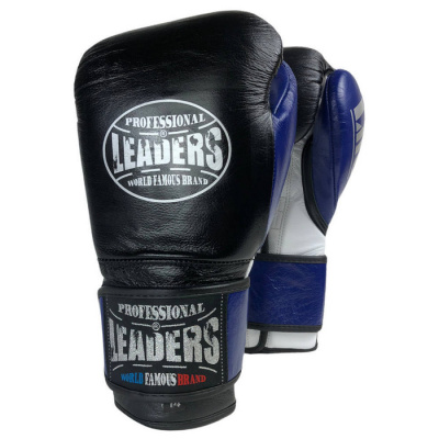 Leaders-Lite-Series-blue
