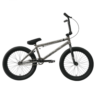 grasshopper-grey2024