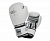 C137_white_silver