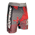 FSXY-2018-01