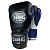 Leaders-Lite-Series-blue