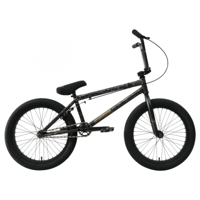 grasshopper-black2024